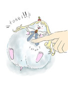 おなかを触らせてくれるエリザベス