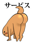 サービスサンショウウオ