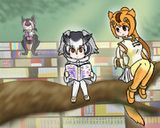 プライベート・キングダム