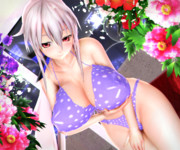 【ハクさん萌えリンク】ハクお姉さんの ぷるるんな ぱいちち…♡