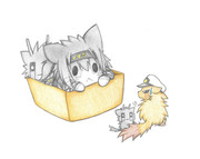 たぬき提督と涼月猫