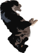 アッシュ！愛しているよ!!!