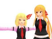 見つめ直す　毎月七日はルーミアの日