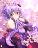 春ゆかり