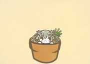 サイネリア 花騎士 ニコニコ静画 イラスト