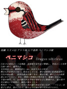 クッキー☆の中盤あたりに出てくるベニマシコ