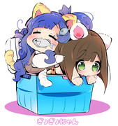 ぎょぎょにゃん