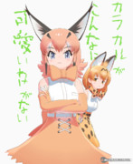 カラカルがこんなに可愛いわけがない