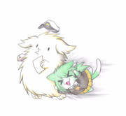 オジさん提督と鈴谷猫