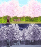 桜の森ステージ＆スカイ