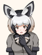 オオミミギツネ