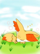お昼寝フォッコ