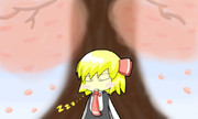 ポカポカ日和