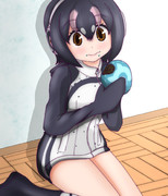 フンボルトペンギン