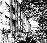 「木漏れ日の校舎」