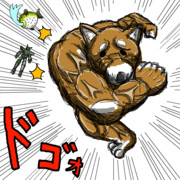 柴拳