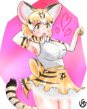 スナネコ