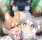 きょうのわんこ