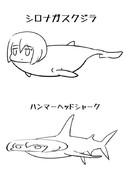 シロナガスクジラとハンマーヘッドシャーク