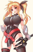 フェイトさん【お題箱】
