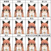 アカギツネで表情練習