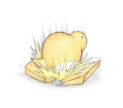 板を割るツチノコちゃん