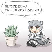 アロエの鉢植えに話しかけるマヌルネコちゃん