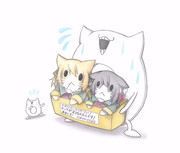 八丈猫と石垣猫を勧める深海浮き輪