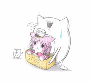 ガリバルディ猫を拾った深海浮き輪