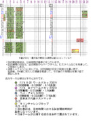 【U-20】サッカー国際大会タイムテーブル2019・前編【なでしコパ】