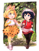 木漏れ日とサーかば