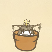 ヒメシャラ 花騎士 ニコニコ静画 イラスト