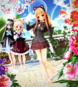 【今日のレア様】ねこみみレアさま…っ♡