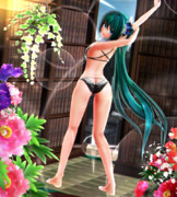 【今日のミクお姉さん】ちょっぴり 背伸び…っ♡