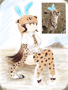 ちーたーちゃん