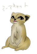 ミーアキャット ニコニコ静画 イラスト