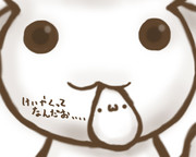 （・ω・）が欲しいなら僕と契約して