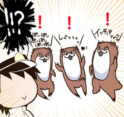 続・増えるボクカワウソ