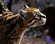 野生のもふもふ