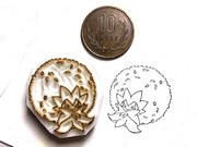 No.830  ワタシラガ