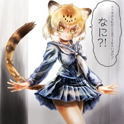 つい見ちゃう！