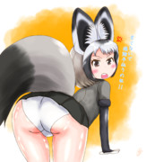 オオミミギツネ