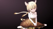 けっこうスゴイの‥‥