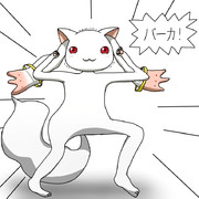 ジュウシマツQB