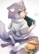 主人の帰りを待つイエイヌ