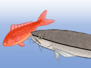 ケツ穴を強襲される姉金ちゃん