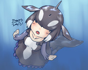 しゃち