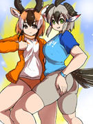 G・ロードランナー・レクイエム