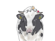 乳牛になったパチュリー