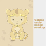 きんしこうさん